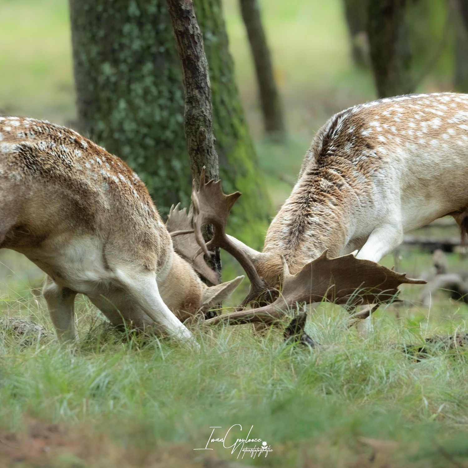 22 oktober 2023 115132  R2A8324